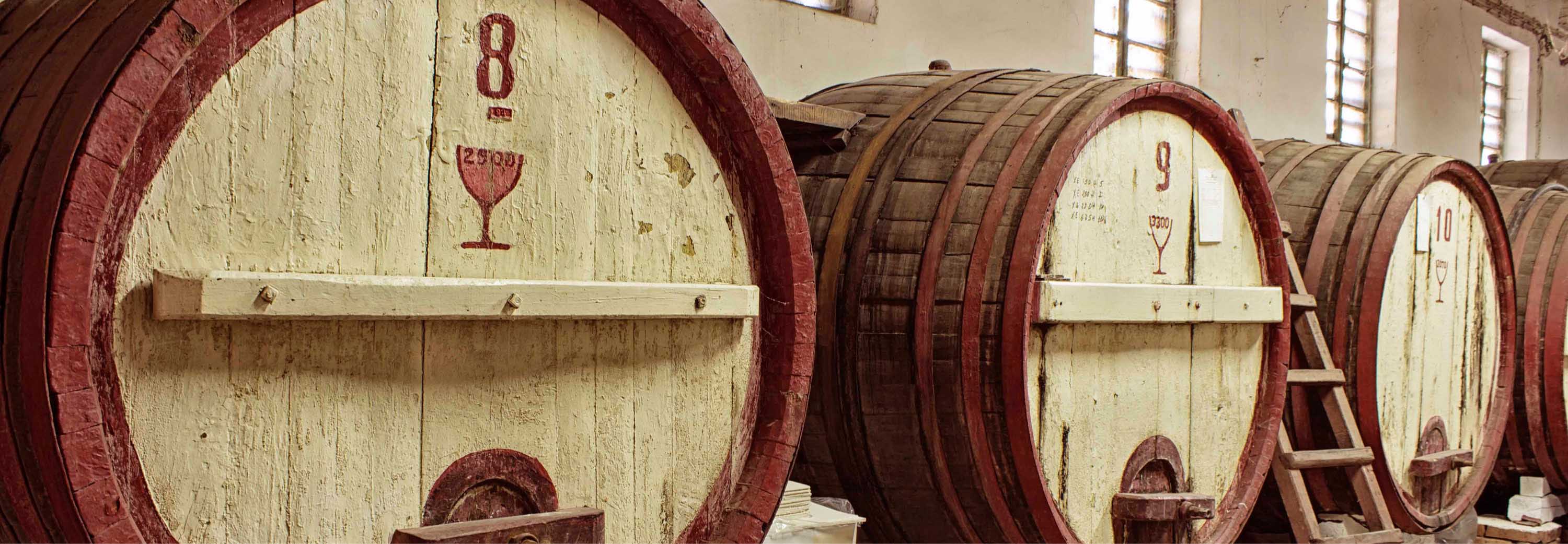 Old Wine Cellar, Porto