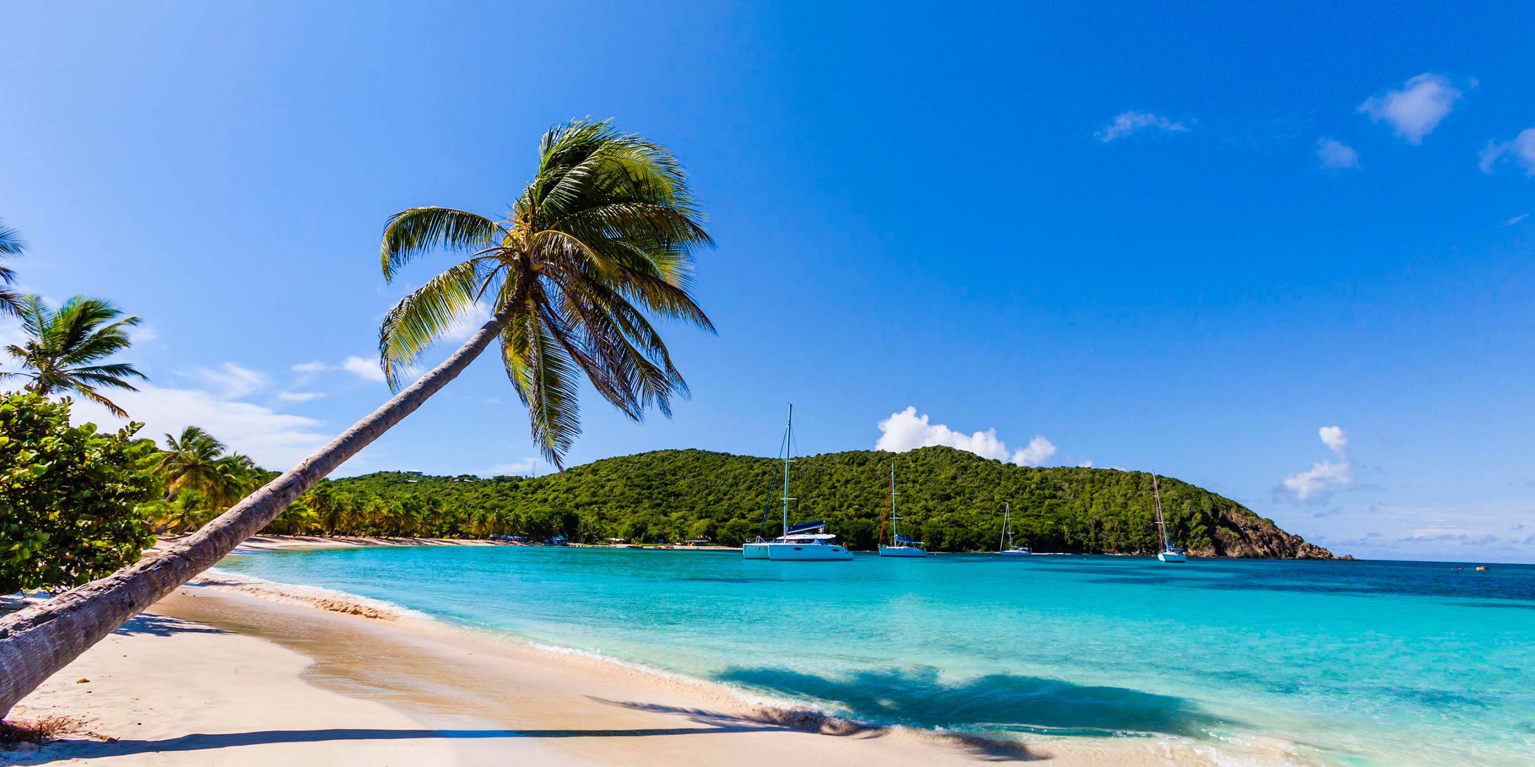 TobagoCays StVincent and the Grenadines
